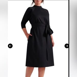 Pari Passu Janice Funnel Neck Belted Dress
